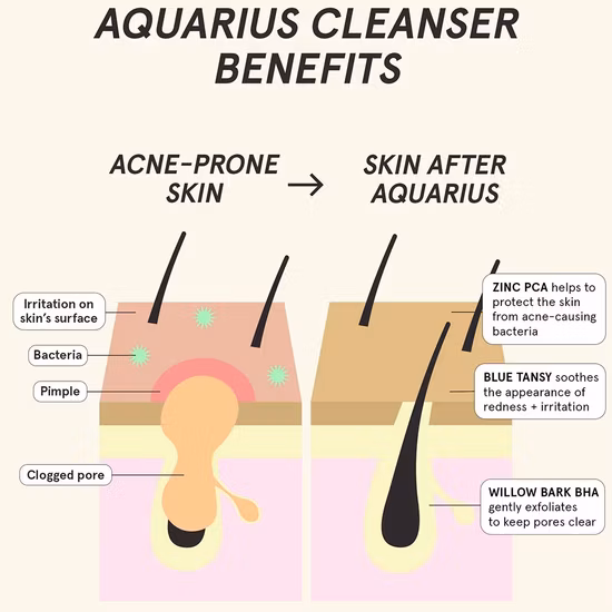 Beauty Cosmetics Skin Care BHA + Blue Tansy Clarity Cleanser Clean Pores