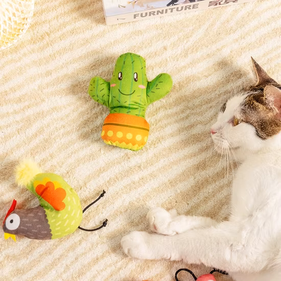 Rena Pet New Design Spring Colorful Color Cat Plush Teasing Fur Toys Assorted with Catnip